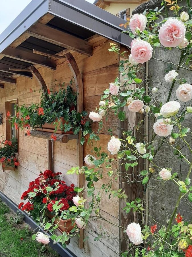 Appartamento Per Vacanze "Il Gelso" Rovereto  Exteriör bild