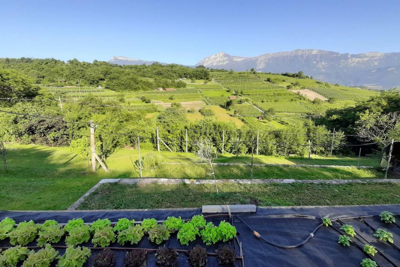 Appartamento Per Vacanze "Il Gelso" Rovereto  Exteriör bild